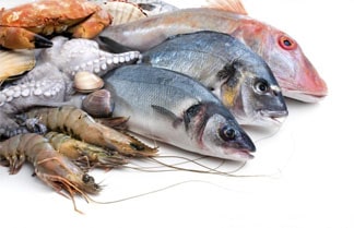 صادرات ماهی از ایران به خارج