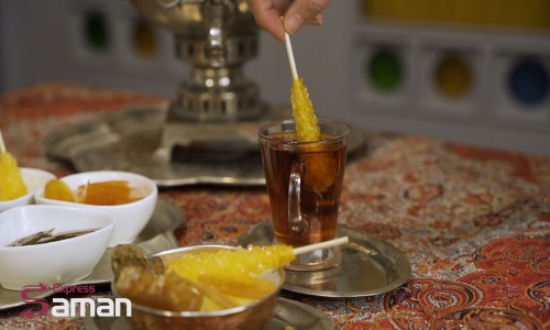 صادرات نبات