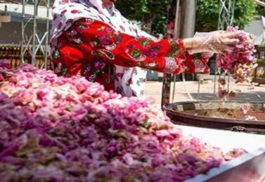 صادرات گلاب و عرقیات گیاهی