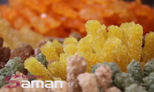 صادرات نبات به ترکیه