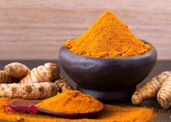 هزینه واردات زردچوبه از هند