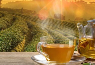 نحوه صادرات چای از ایران به کشورهای مختلف