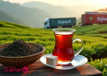 How-to-export-tea-from-Iran نحوه صادرات چای از ایران