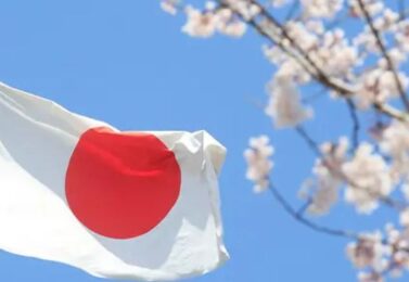 واردات انواع کالا از ژاپن