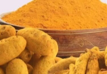 روش های واردات زردچوبه از هند